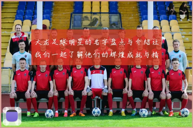 大龙足球明星的名字盘点与介绍让我们一起了解他们的辉煌成就与精彩瞬间