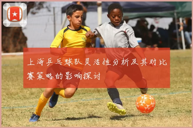 上海乒乓球队灵活性分析及其对比赛策略的影响探讨