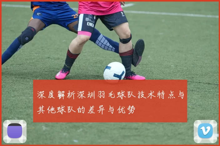 深度解析深圳羽毛球队技术特点与其他球队的差异与优势