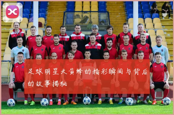 足球明星大黄蜂的精彩瞬间与背后的故事揭秘