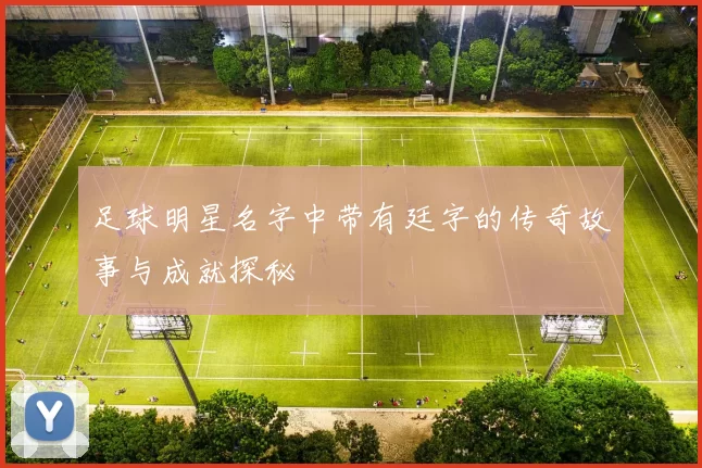 足球明星名字中带有廷字的传奇故事与成就探秘
