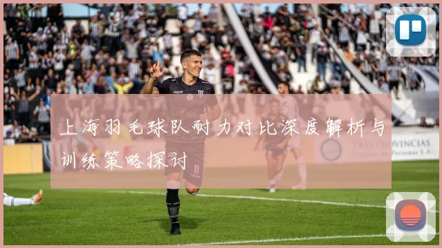 上海羽毛球队耐力对比深度解析与训练策略探讨