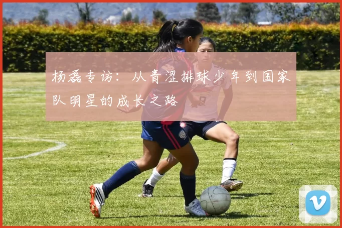杨磊专访：从青涩排球少年到国家队明星的成长之路