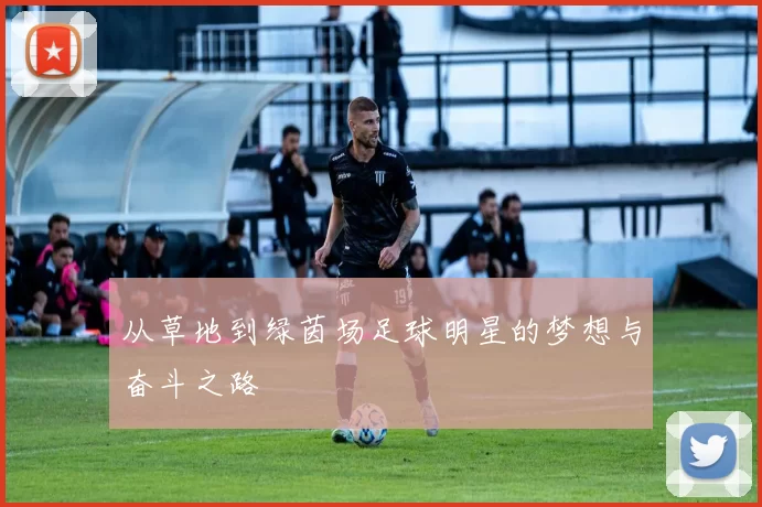 从草地到绿茵场足球明星的梦想与奋斗之路