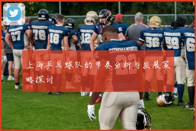 上海乒乓球队的节奏分析与发展策略探讨