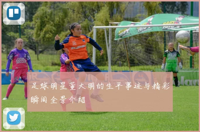 足球明星董大明的生平事迹与精彩瞬间全景介绍