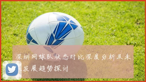 深圳网球队状态对比深度分析及未来发展趋势探讨