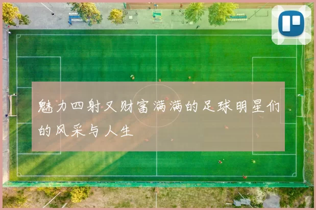 魅力四射又财富满满的足球明星们的风采与人生