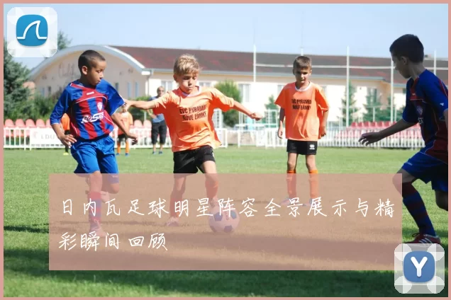 日内瓦足球明星阵容全景展示与精彩瞬间回顾