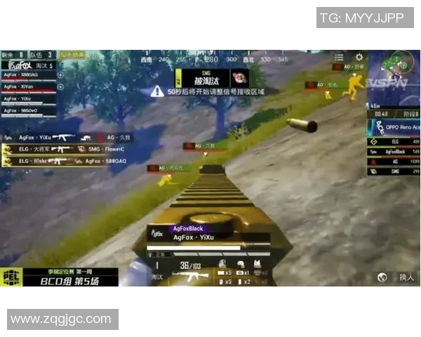 聚焦和平精英RNG战队的节奏与策略深度解析 聚焦和平精英RNG战队的节奏与策略深度解析