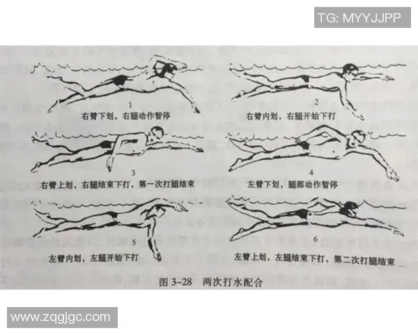 提高自由泳技巧的关键要素与训练方法全面解析